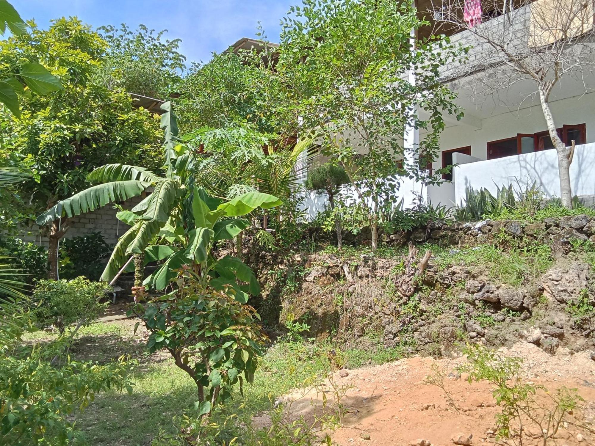 Feby'S Homestay Ekas Экстерьер фото